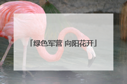绿色军营 向阳花开