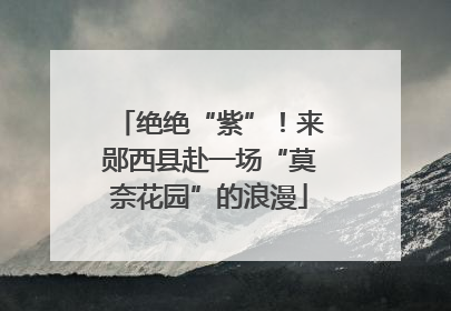 绝绝“紫”！来郧西县赴一场“莫奈花园”的浪漫