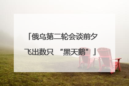 俄乌第二轮会谈前夕 飞出数只 “黑天鹅”