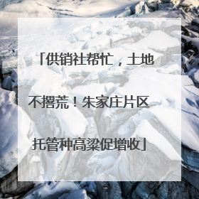 供销社帮忙，土地不撂荒！朱家庄片区托管种高粱促增收