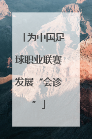 为中国足球职业联赛发展“会诊”