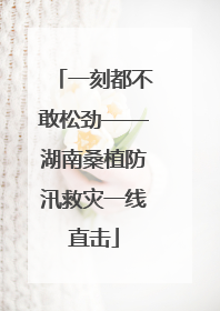 一刻都不敢松劲——湖南桑植防汛救灾一线直击