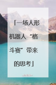 一场人形机器人“格斗赛”带来的思考