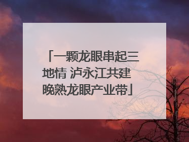 一颗龙眼串起三地情 泸永江共建晚熟龙眼产业带