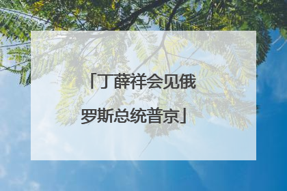丁薛祥会见俄罗斯总统普京