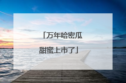 万年哈密瓜甜蜜上市了