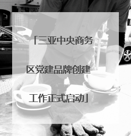 三亚中央商务区党建品牌创建工作正式启动