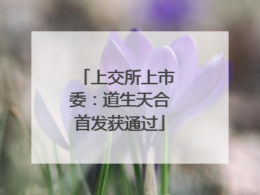 上交所上市委：道生天合首发获通过