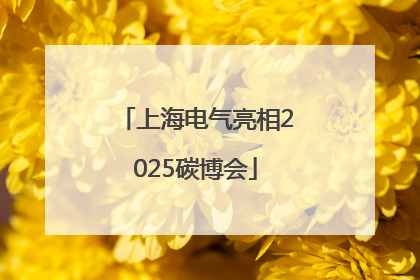 上海电气亮相2025碳博会