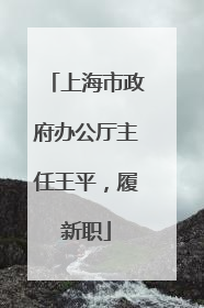 上海市政府办公厅主任王平，履新职