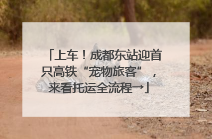上车！成都东站迎首只高铁“宠物旅客”，来看托运全流程→