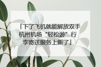 下了飞机就能解放双手 杭州机场“轻松游”行李寄送服务上新了
