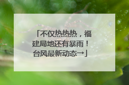 不仅热热热，福建局地还有暴雨！台风最新动态→