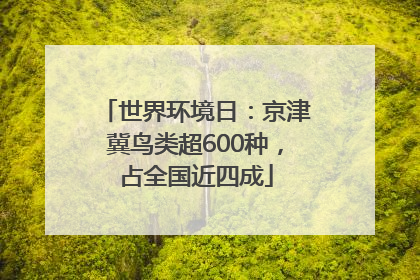 世界环境日：京津冀鸟类超600种，占全国近四成