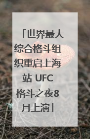 世界最大综合格斗组织重启上海站 UFC格斗之夜8月上演