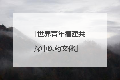 世界青年福建共探中医药文化