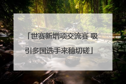 世赛新增项交流赛 吸引多国选手来穗切磋