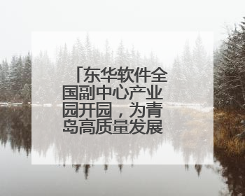 东华软件全国副中心产业园开园，为青岛高质量发展注入新动能
