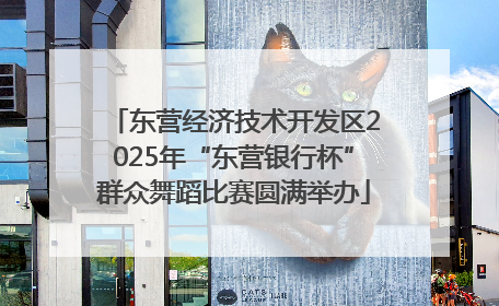 东营经济技术开发区2025年“东营银行杯”群众舞蹈比赛圆满举办
