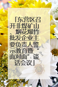 东营区召开非煤矿山、烟花爆竹批发企业主要负责人警示教育暨“面对面”谈话会议