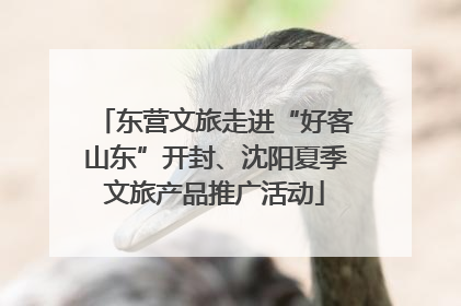 东营文旅走进“好客山东”开封、沈阳夏季文旅产品推广活动