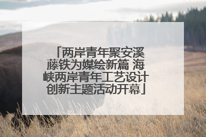 两岸青年聚安溪 藤铁为媒绘新篇 海峡两岸青年工艺设计创新主题活动开幕