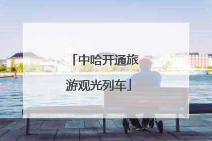 中哈开通旅游观光列车