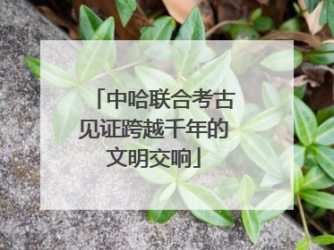 中哈联合考古见证跨越千年的文明交响