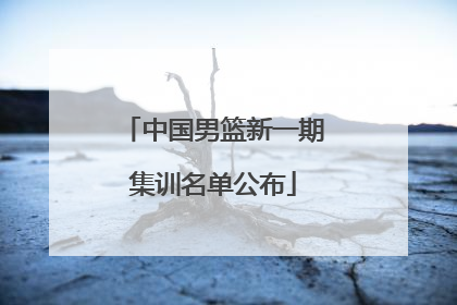 中国男篮新一期集训名单公布
