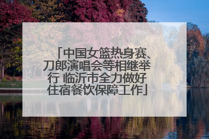 中国女篮热身赛、刀郎演唱会等相继举行 临沂市全力做好住宿餐饮保障工作