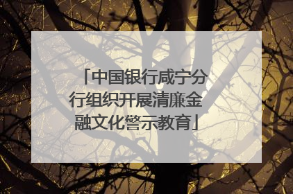 中国银行咸宁分行组织开展清廉金融文化警示教育