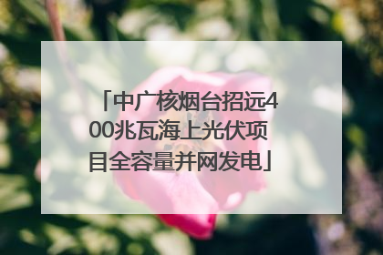中广核烟台招远400兆瓦海上光伏项目全容量并网发电