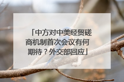 中方对中美经贸磋商机制首次会议有何期待？外交部回应