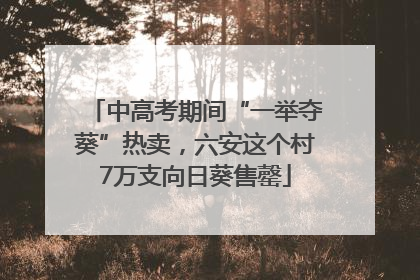 中高考期间“一举夺葵”热卖，六安这个村7万支向日葵售罄
