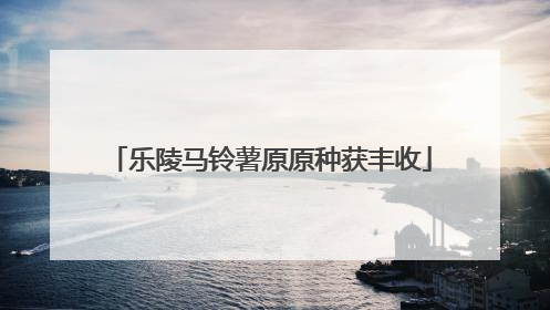 乐陵马铃薯原原种获丰收