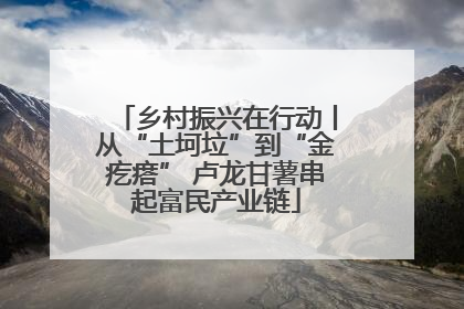 乡村振兴在行动丨从“土坷垃”到“金疙瘩” 卢龙甘薯串起富民产业链