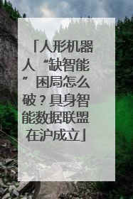 人形机器人“缺智能”困局怎么破？具身智能数据联盟在沪成立