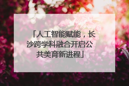 人工智能赋能，长沙跨学科融合开启公共美育新进程