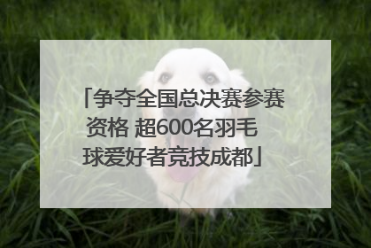 争夺全国总决赛参赛资格 超600名羽毛球爱好者竞技成都