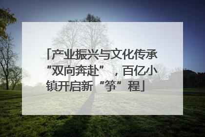 产业振兴与文化传承“双向奔赴”，百亿小镇开启新“筝”程