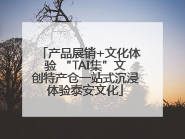产品展销+文化体验 “TAI集”文创特产仓一站式沉浸体验泰安文化