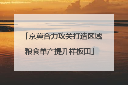 京冀合力攻关打造区域粮食单产提升样板田