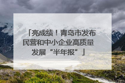 亮成绩！青岛市发布民营和中小企业高质量发展“半年报”