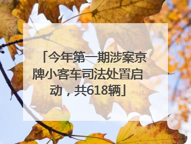 今年第一期涉案京牌小客车司法处置启动，共618辆