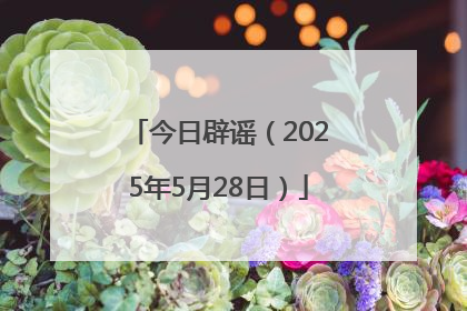今日辟谣（2025年5月28日）