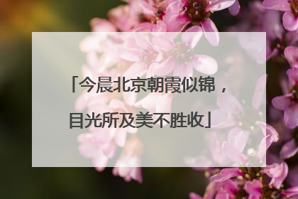 今晨北京朝霞似锦，目光所及美不胜收