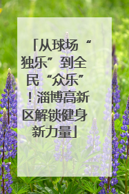 从球场“独乐”到全民“众乐”！淄博高新区解锁健身新力量