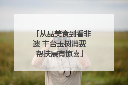 从品美食到看非遗 丰台玉树消费帮扶展有惊喜
