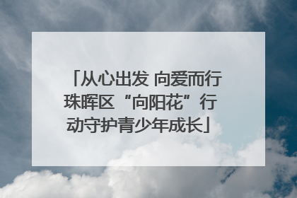 从心出发 向爱而行 珠晖区“向阳花”行动守护青少年成长