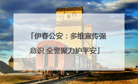 伊春公安：多维宣传强意识 全警聚力护平安